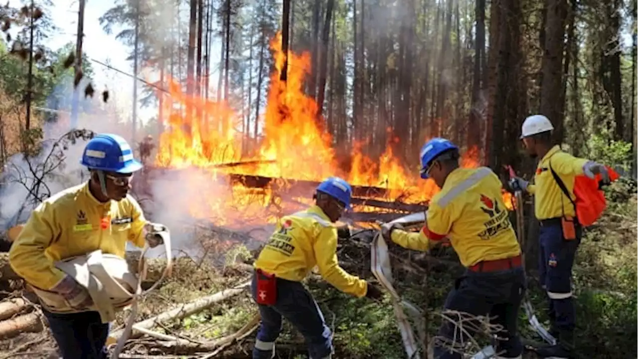 Meet the international firefighters battling Canada's worst wildfire season in a century | CBC News