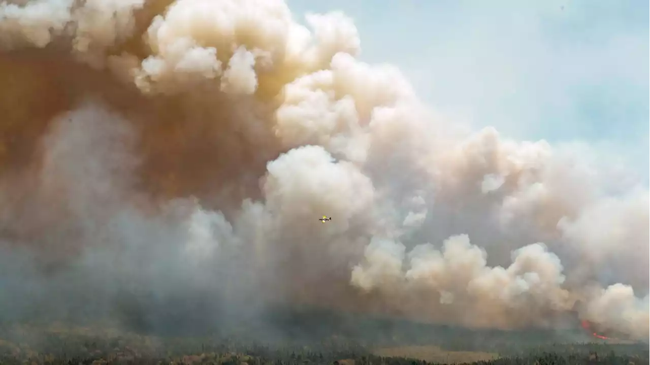 Wildfire in southern N.S. occurred amid some of driest recorded conditions: scientist