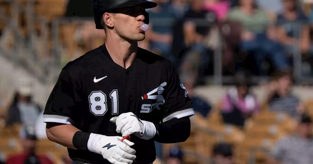 Zach Remillard: Chicago White Sox call up prospect