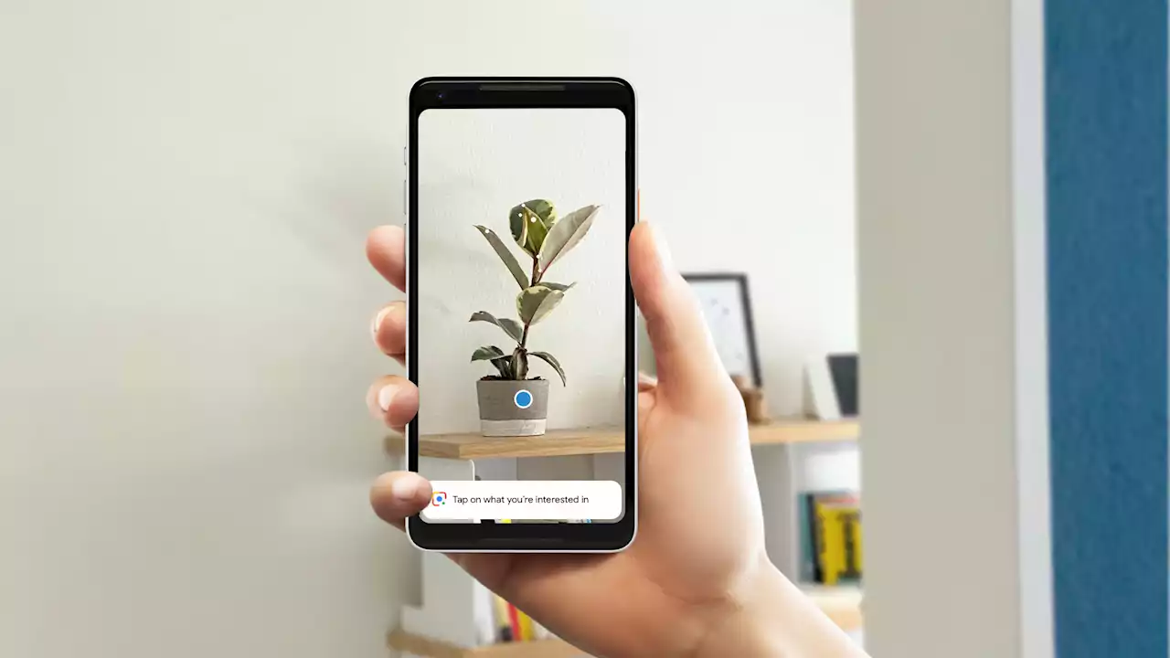 Acné ou peste bubonique, Google Lens va vous aider à identifier vos problèmes de peau