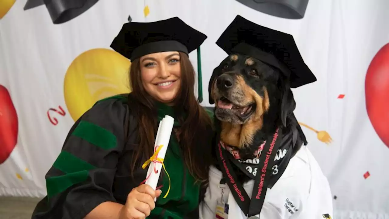 Dedicated service and therapy dogs receive honorary 'dogtorate' degrees from the University of Maryland, Baltimore | CNN