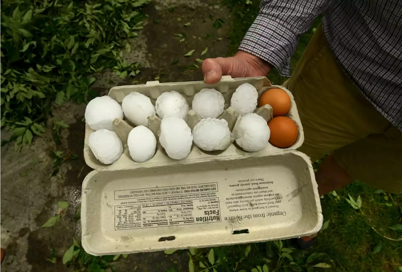 Motorists warned of tennis ball-sized hail along Interstate 70 near Limon