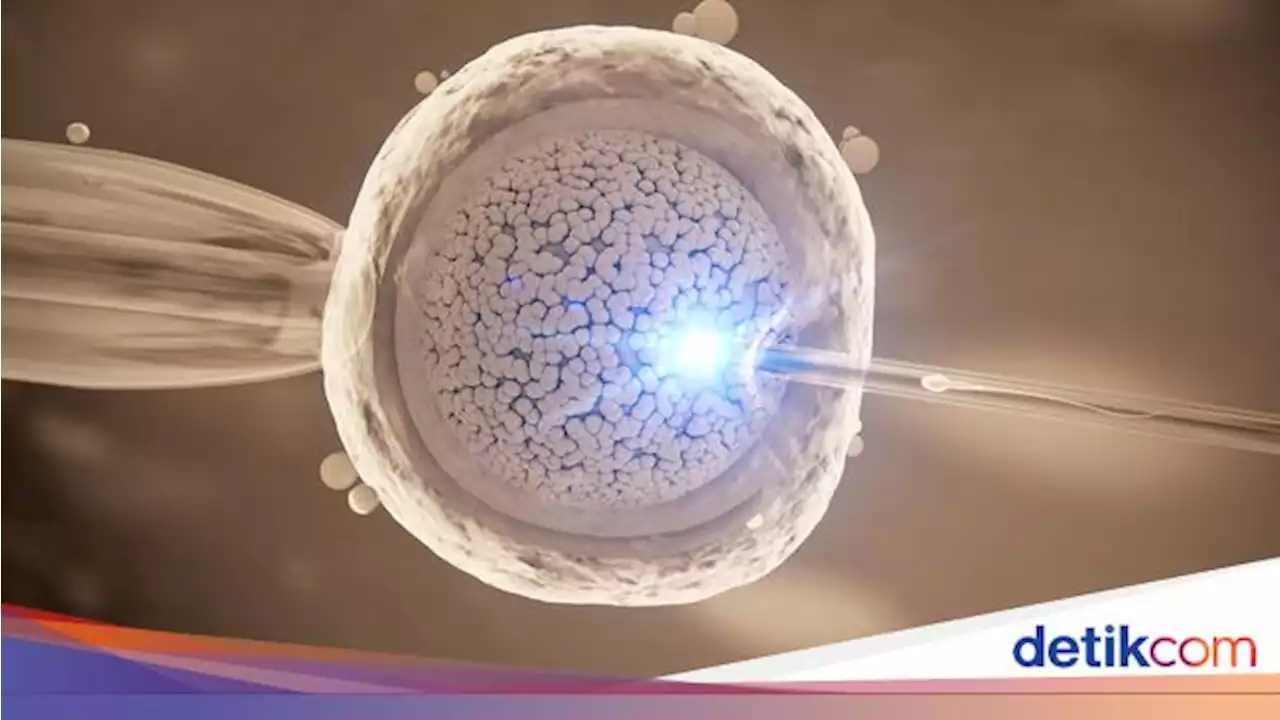 Tanpa Sel Telur dan Sperma, Peneliti Ciptakan Embrio Manusia Sintetis Pertama di Dunia