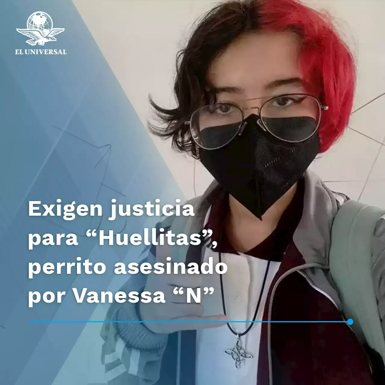 Exigen Justicia Para “huellitas” Perrito Asesinado Por Alumna En Huauchinango Puebla
