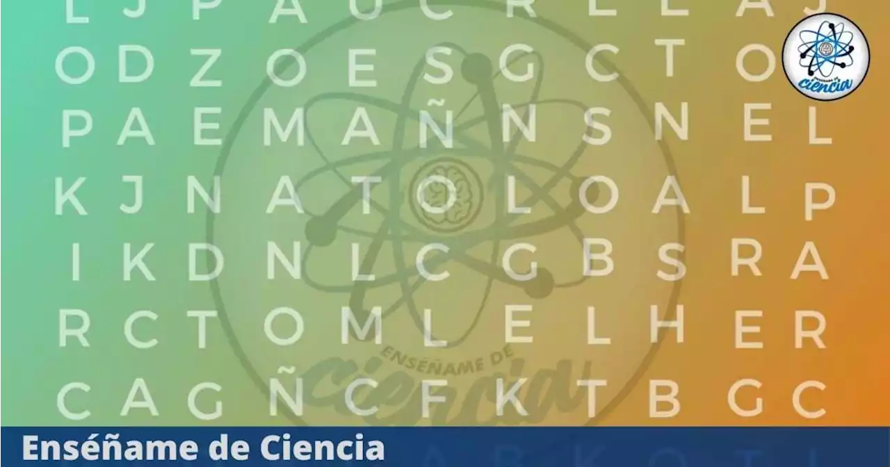 Desafío visual para EXPERTOS: Encuentra la palabra “TECNOLOGÍA” en la sopa de letras, tienes 7 segundos