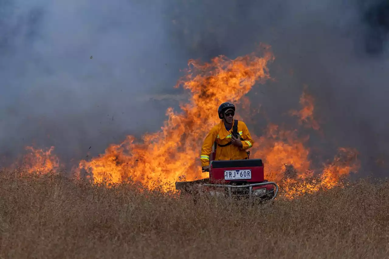 Australia’s volunteer ‘firies’ offer lessons on taming wildfires in Canada