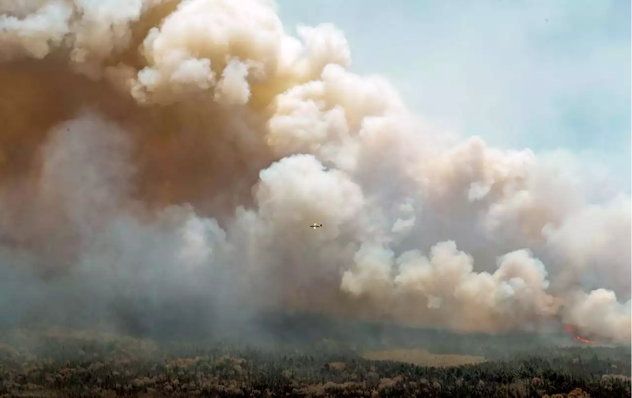 Wildfire in Nova Scotia occurred amid some of driest recorded conditions scientist says