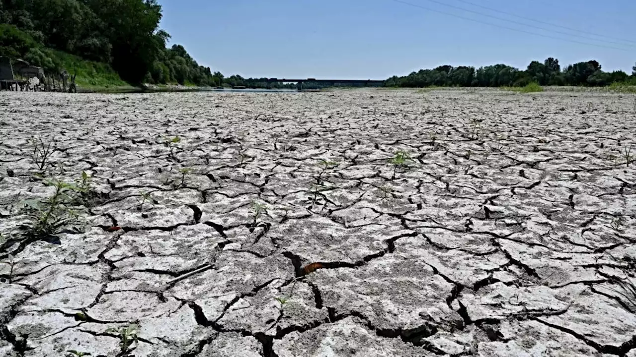 Italia al picco della siccità, nel 2022 abbiamo perso la metà dell’acqua disponibile (di G. Nespoli)