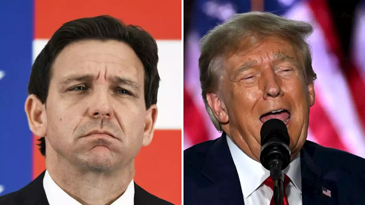 Ron DeSantis Allies Say Donald Trump Is 'Obsessed With Men's Genitalia'