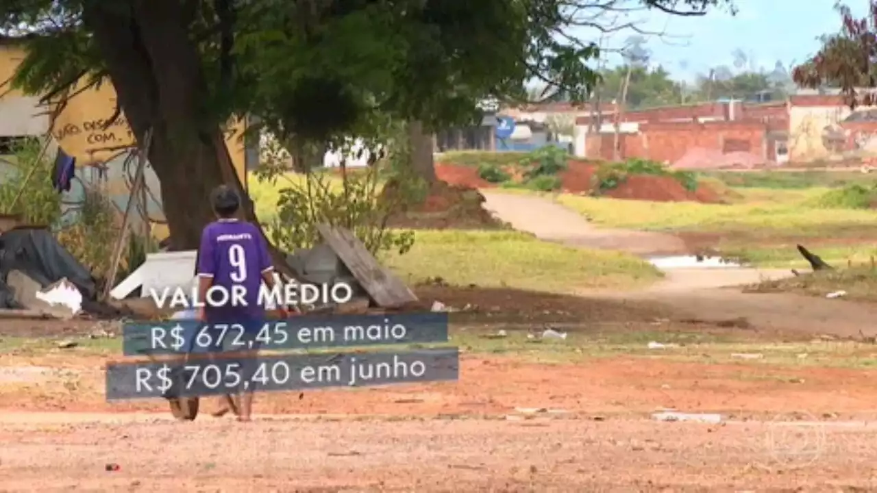 Bolsa Família: com a nova regra, valor médio do benefício passará para R$ 705