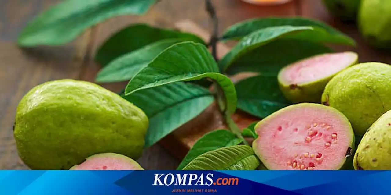 7 Manfaat Daun dan Buah Jambu Biji bagi Kesehatan