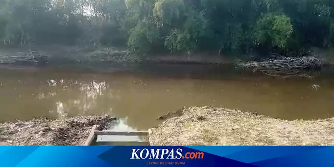 Air Sungai Bengawan Solo Tercemar Limbah Industri Minuman Beralkohol, Berbau Dan Berwarna Hitam