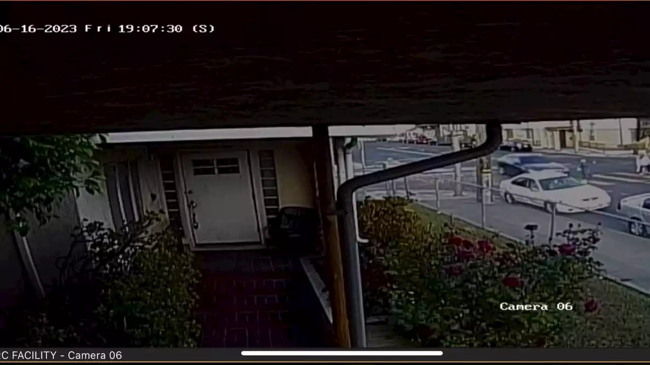 Pedestrian struck and killed in Oakland hit-and-run caught on surveillance video