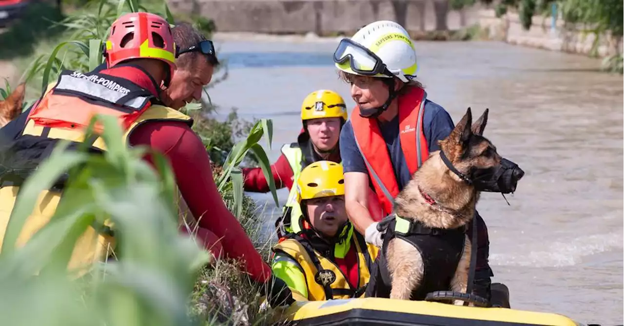 Saint-Martin-De-Crau : les pompiers et leurs chiens s'exercent à tous les scénarios