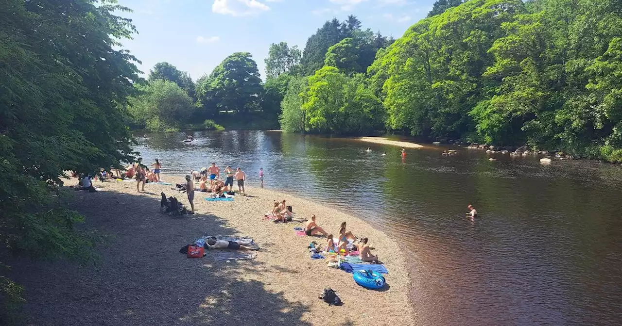 Yorkshire sunbathing hotspot taken over by underage drinkers