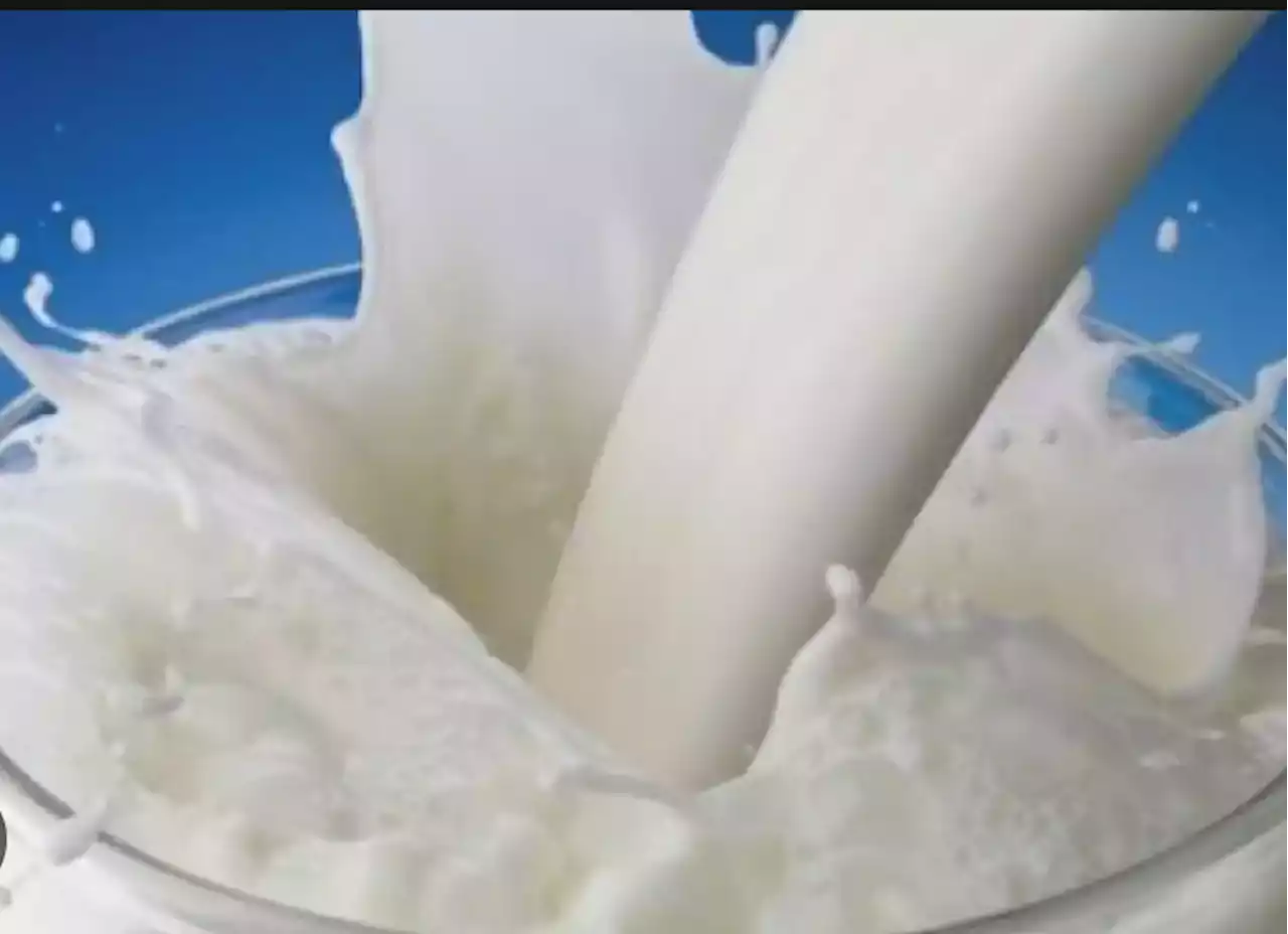 Profeco revela las mejores marcas de leche - Revista Merca2.0 |