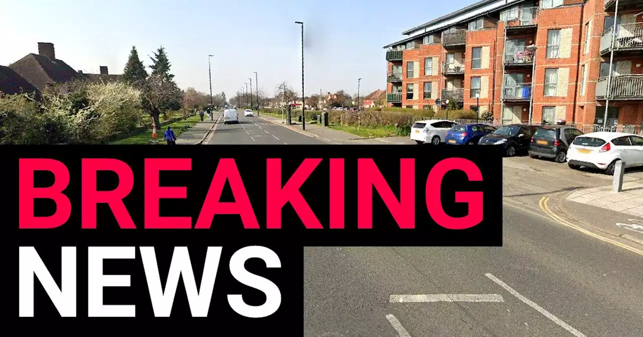 Boy, 3, and girl, 11, among four found dead in west London flat