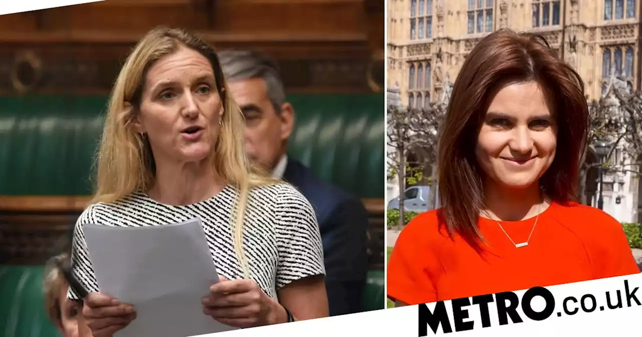 MPs partly to blame for 'toxic' debate culture says sister of murdered Jo Cox