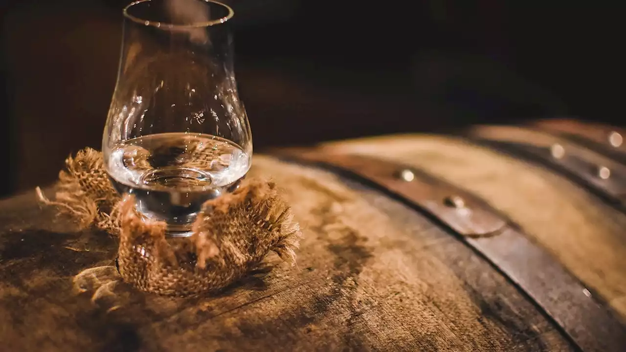 Fun tastings, fancy tours: how Scottish whisky experiences are evolving