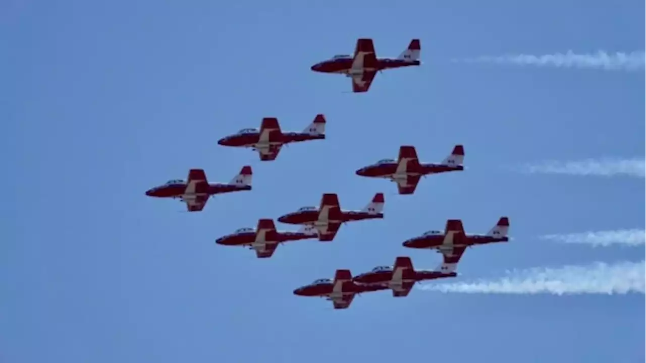 Snowbirds pilot reassigned after accusation of sexual misconduct | CBC News