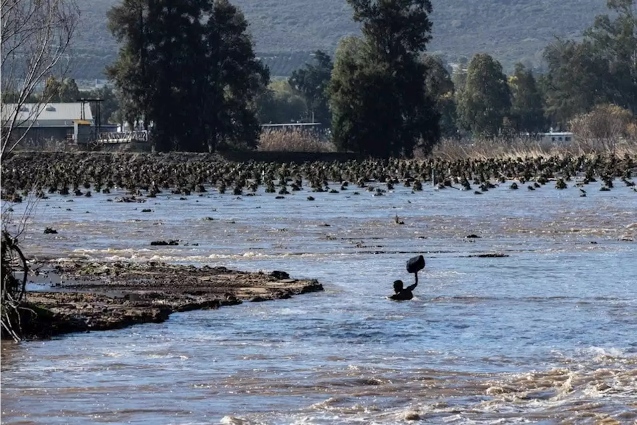 PICS | 'We've had to sleep in our trucks': Citrusdal cut off from the world | News24