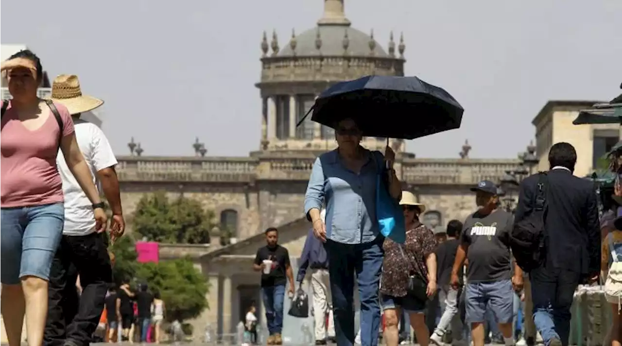 Ola de calor en México supera los 40 grados y ha dejado ocho muertos