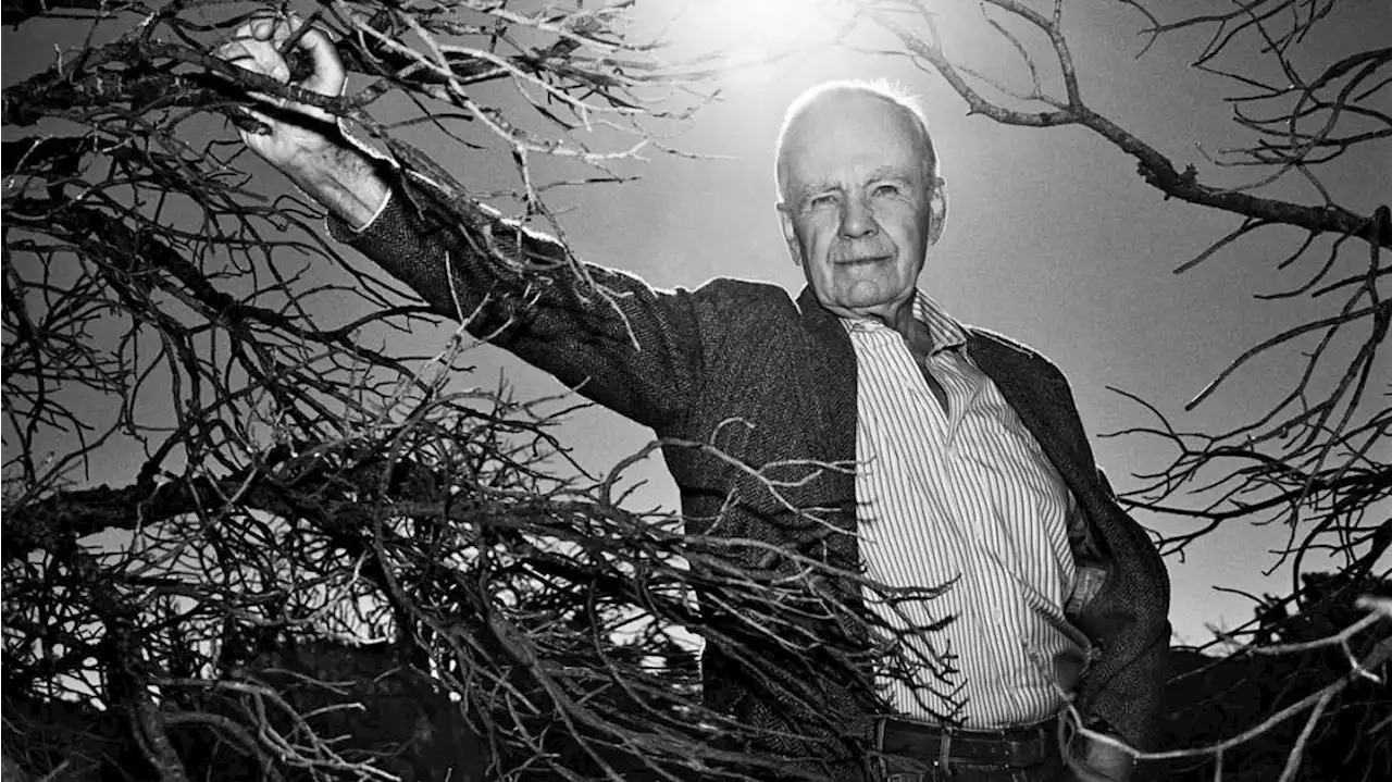 Cormac McCarthy, el escritor que mejor supo retratar la violencia en la sociedad americana