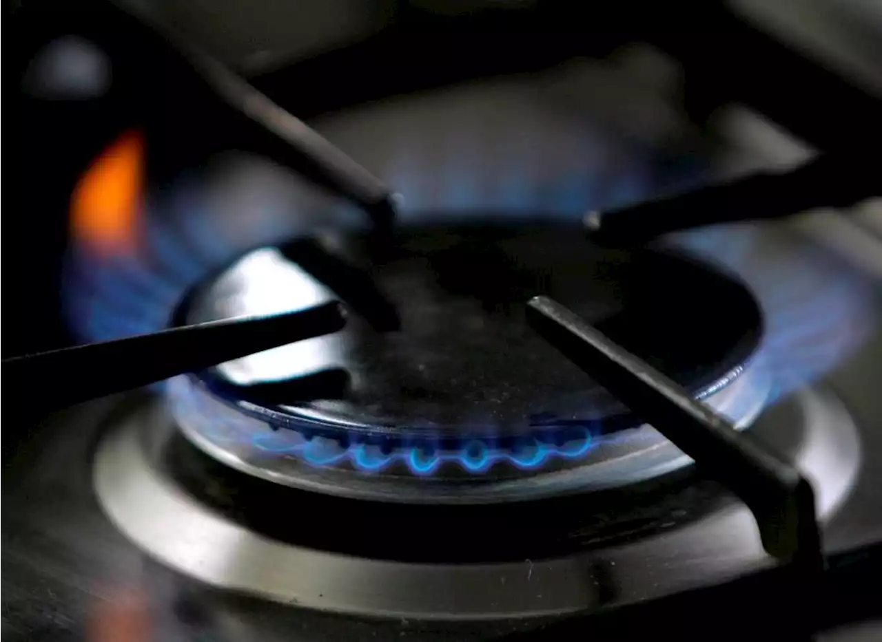 Time to ditch your gas stove for health reasons? The answer is 'murky,' experts say