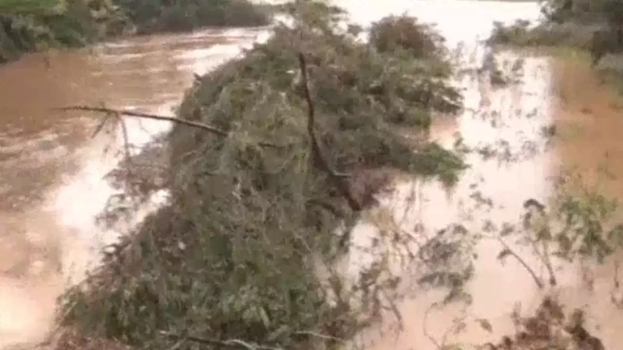 Defesa Civil de SC alerta para ventos fortes e ondas de quase quatro metros