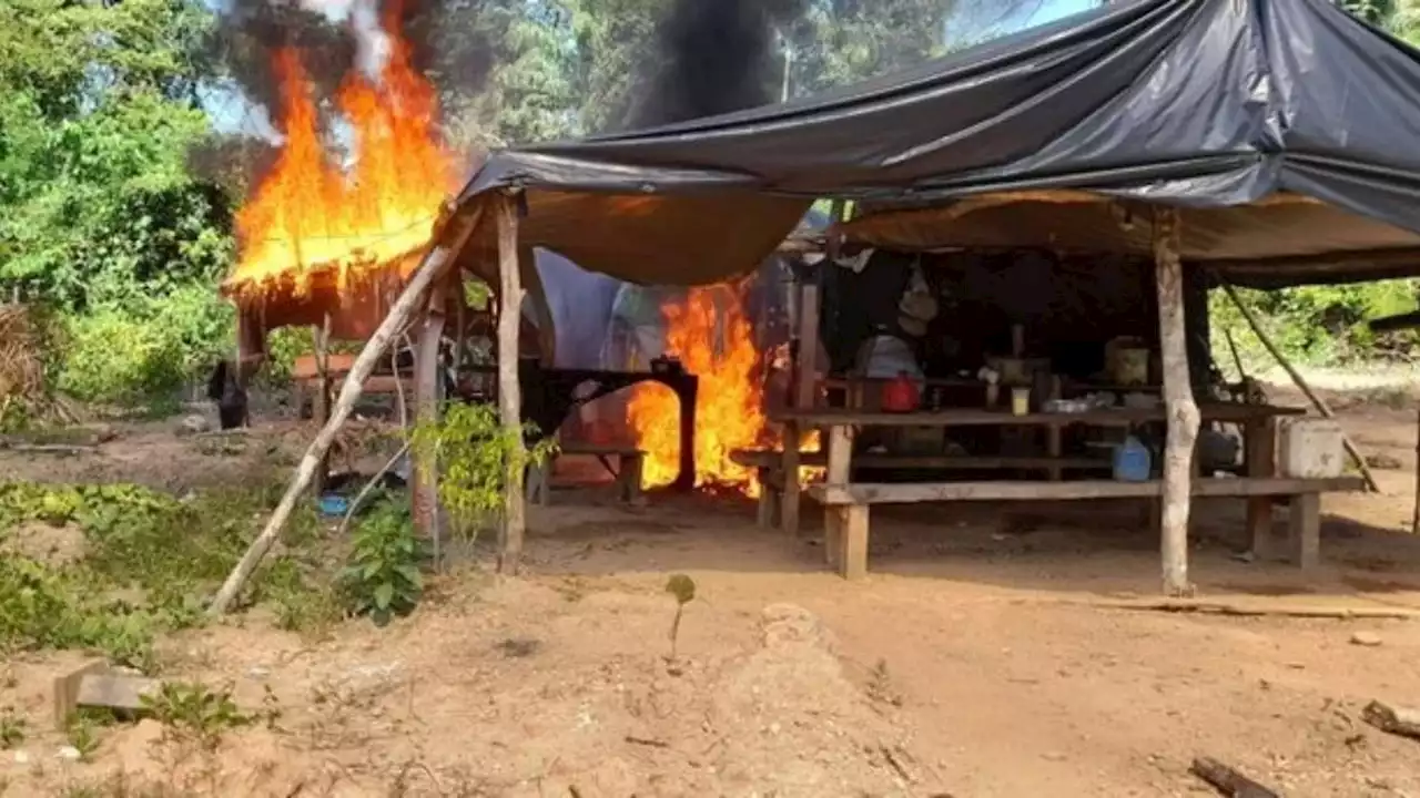 Polícia Federal desmonta quatro garimpos ilegais em área de conservação no Pará