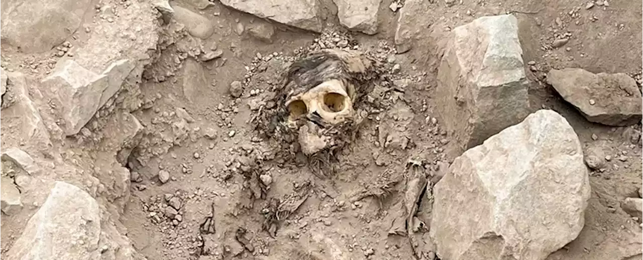 Archaeologists Discover a 3,000-Year-Old Mummy Under 15,000 Pounds of Garbage