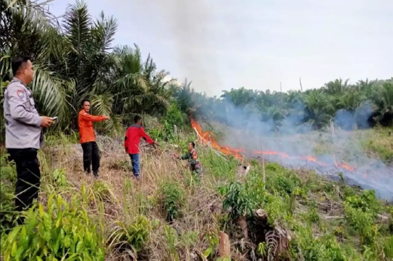 481 Hektare Lahan Terbakar di Riau, Terpantau Ada 2 Titik Panas