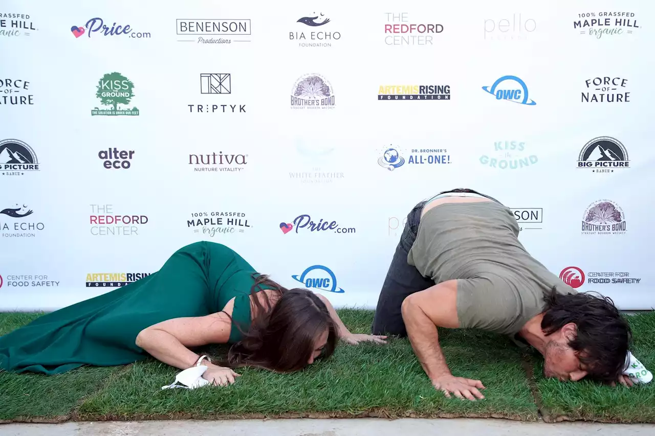 Why Are These People Stuffing Their Faces Into Turf?