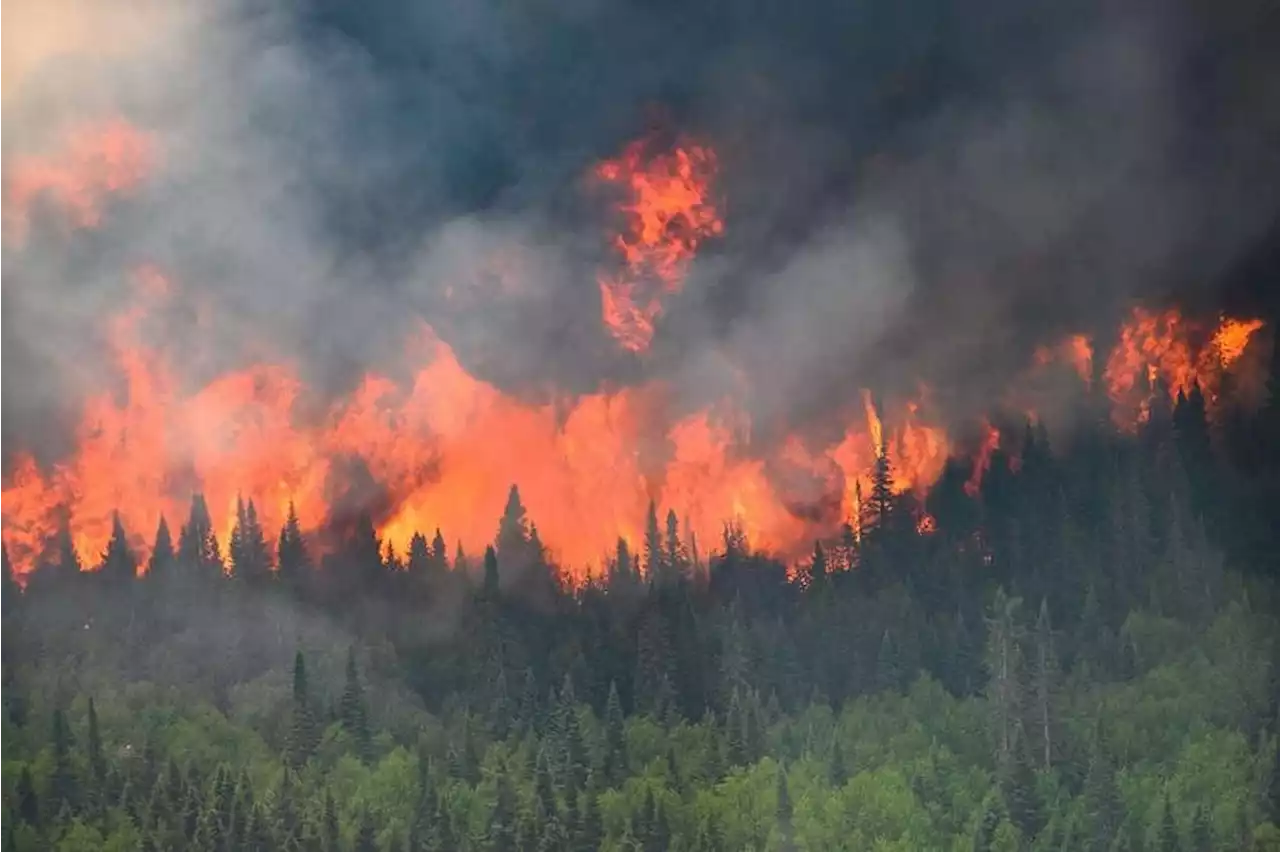 Canada wildfires turn up heat for PM Trudeau to act on climate change