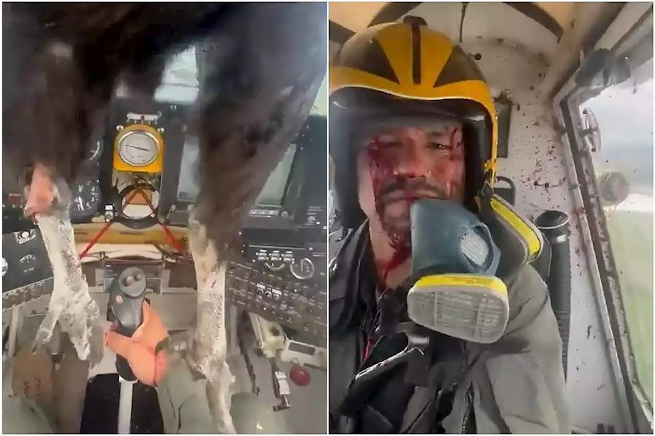 Pilot navigates plane to safety after giant bird smashes through his windscreen