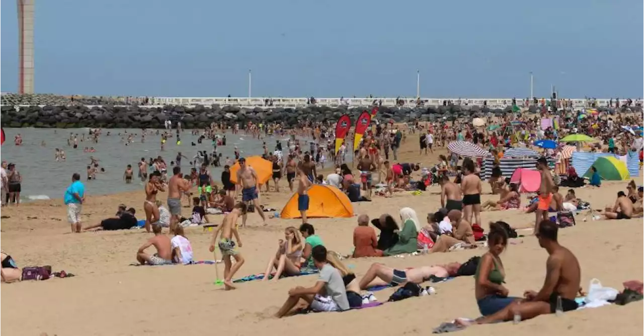 Prudence si vous allez sur la côte belge: les sauveteurs mettent en garde, «même les nageurs expérimentés peuvent rencontrer des problèmes»