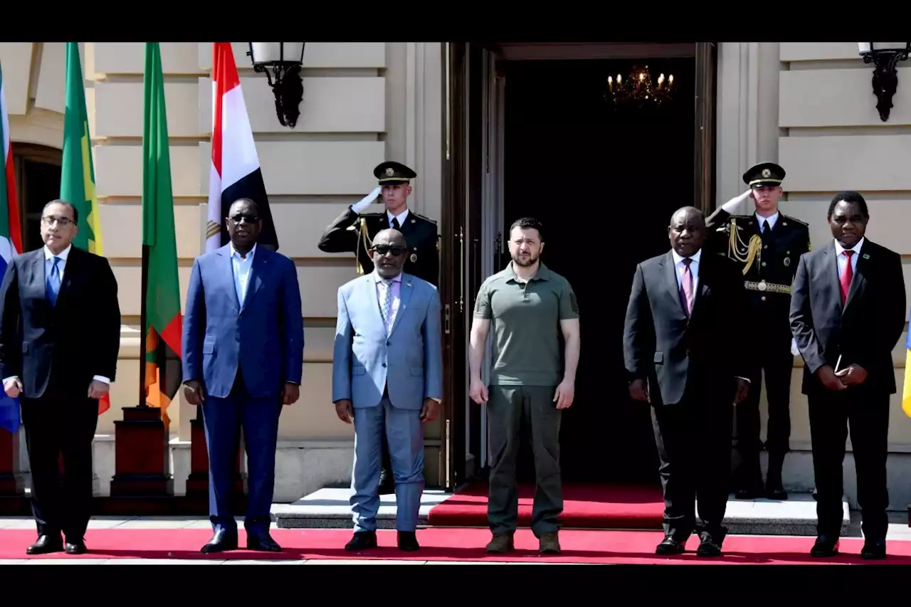 African leaders prepare to meet Putin after Zelensky rules out talks | The Citizen