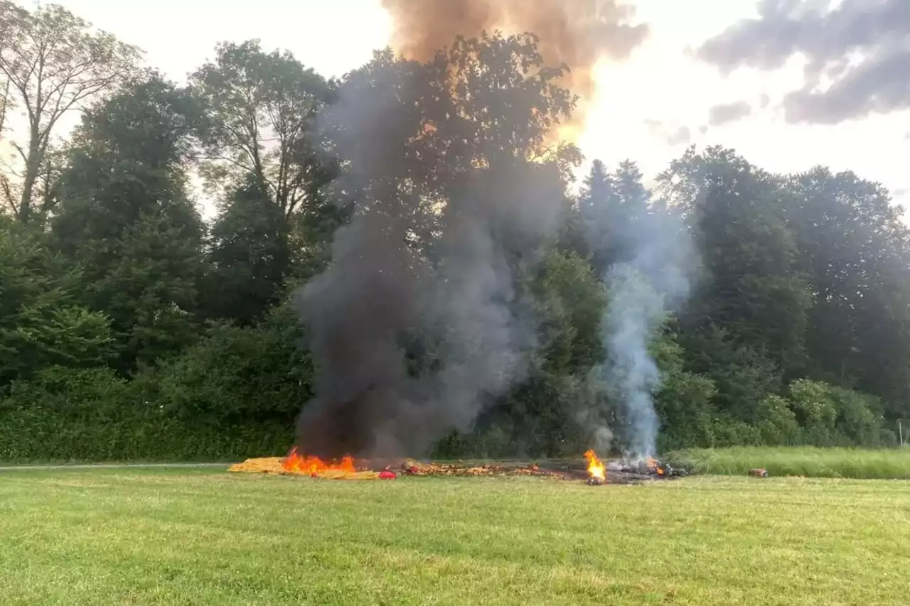 Seven injured as hot air balloon bursts into flames and crashes into field