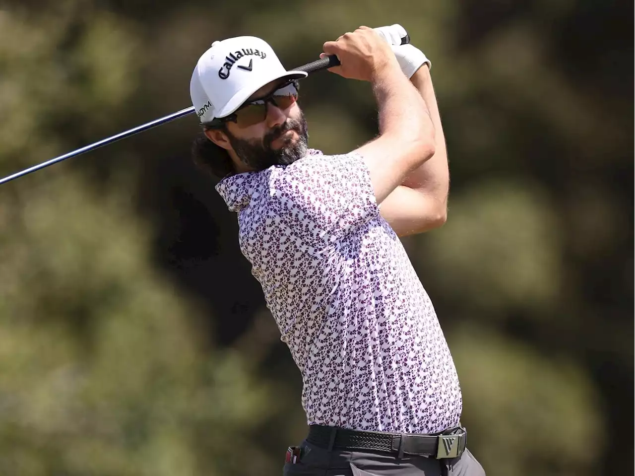 Adam Hadwin throws club at bush at U.S. Open, climbs in to get it