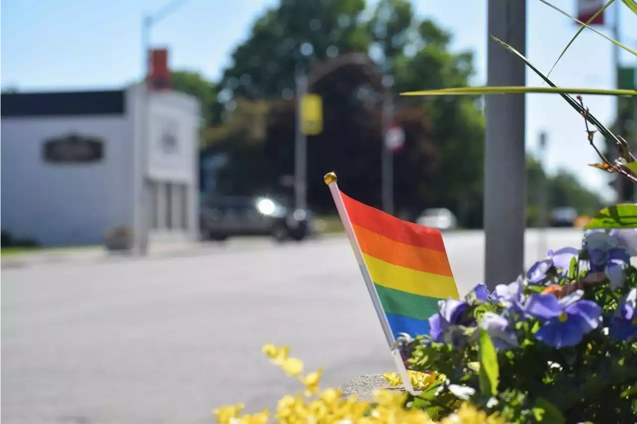 Pride flags stolen in Norwich, flashpoint in anti-LGBTQ backlash