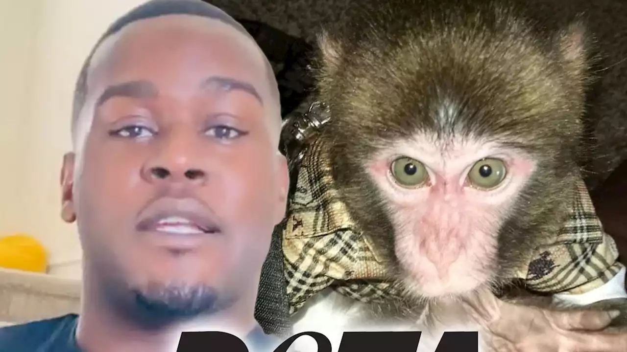 PETA Asks Authorities to Ban Jonathan Wright From Owning Monkeys After 2nd Death