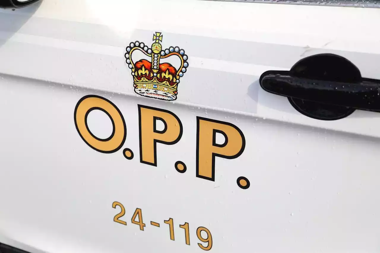 Rise in Ontario road fatalities leading to a ‘notably tragic year,’ says OPP