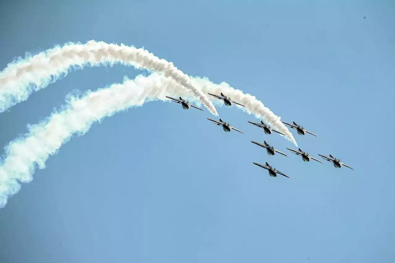 Snowbirds pilot grounded over ‘sexual misconduct’ allegations, Canadian military says