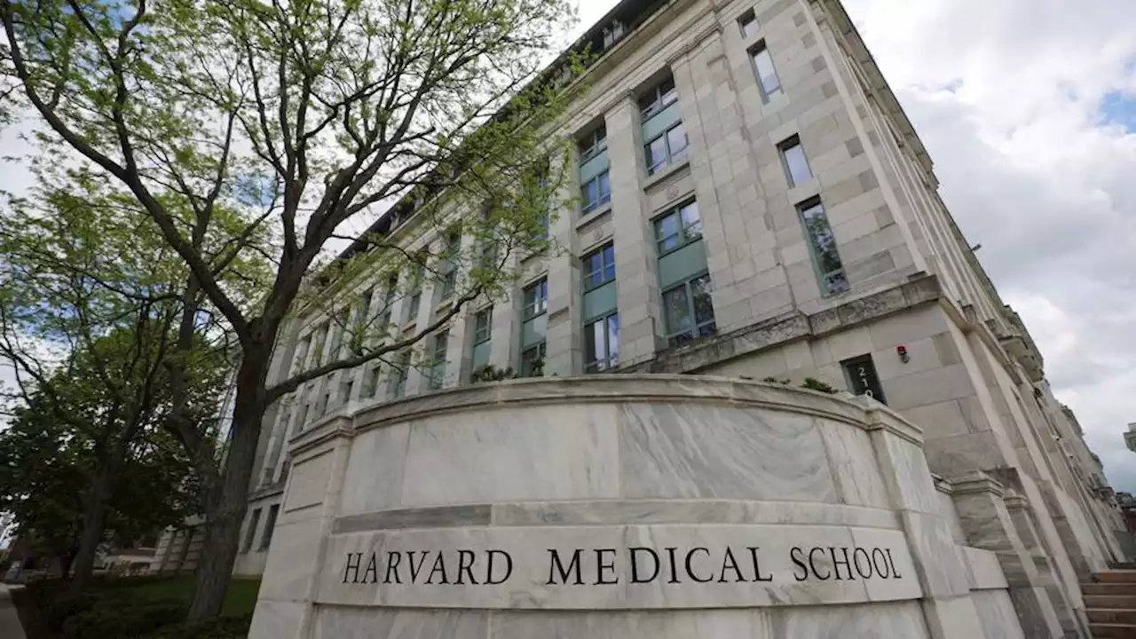 Lawsuit filed over theft of heads, brains, skin from Harvard morgue