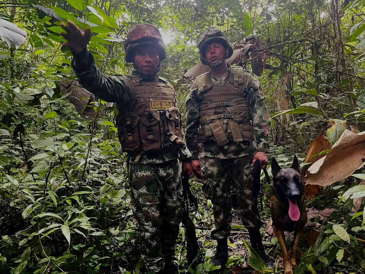 Ejército destruyó minas antipersonales instaladas por el Clan del Golfo en Turbo