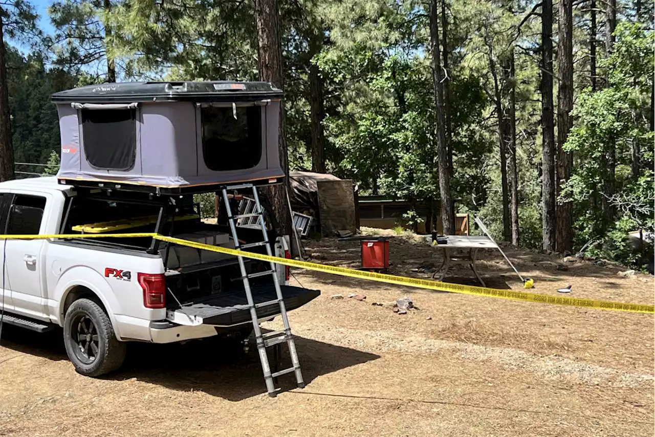 Arizona man fatally mauled by black bear while drinking morning coffee