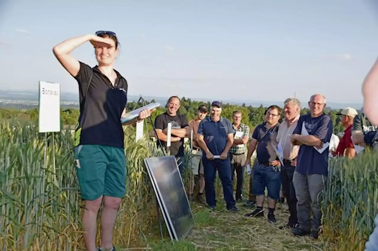 Nicht jedes Getreide passt zum Boden: Pflanzenbauberatung am Wallierhof - bauernzeitung.ch