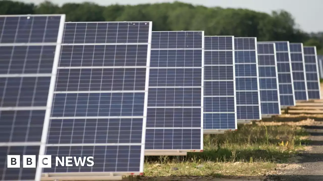 Dorset solar park starts providing power to buildings 100 miles away