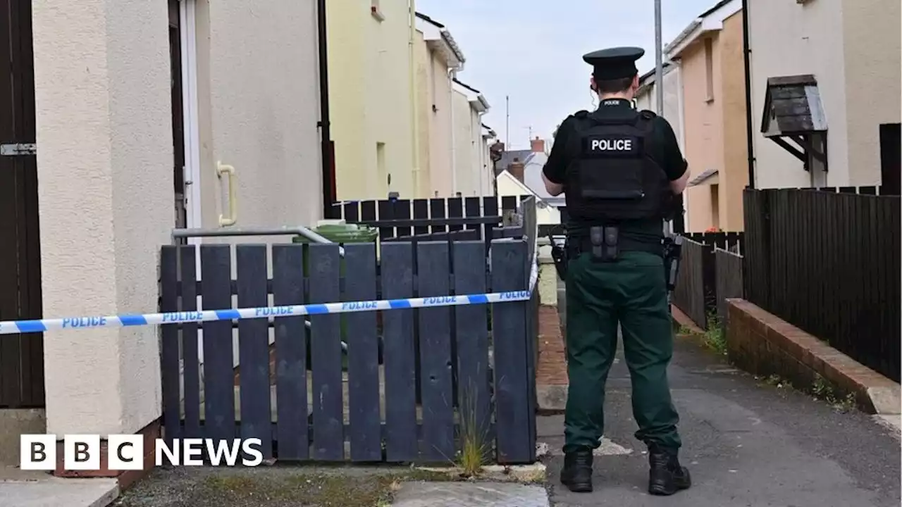 Lurgan: Man in critical condition after suspected assault