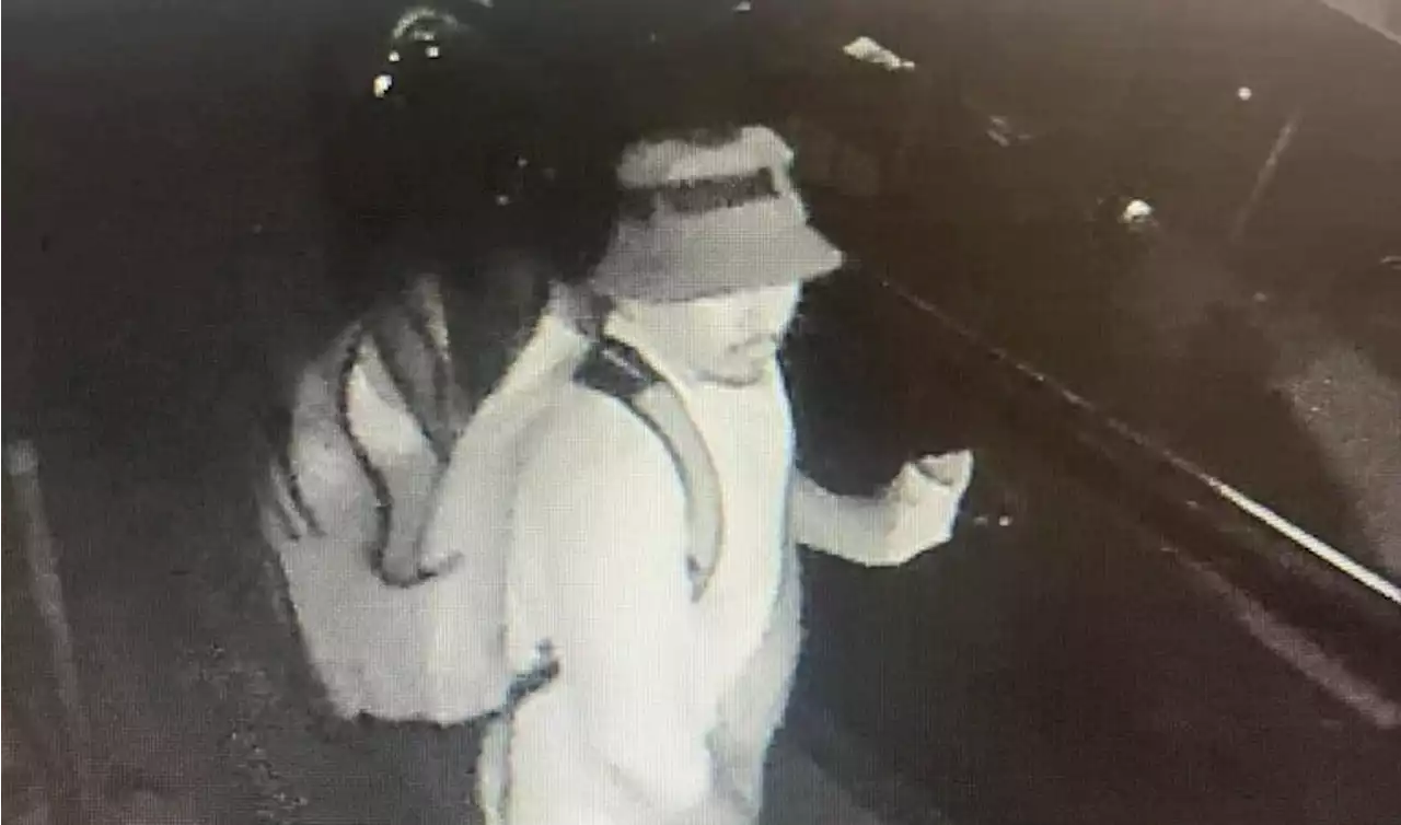 Grover Beach police seek help identifying car thief